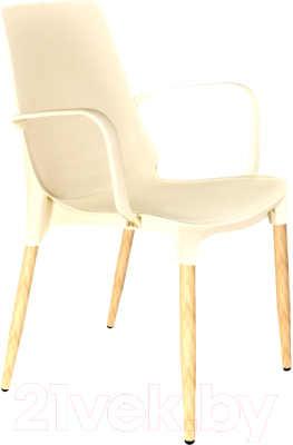 Стул садовый Sheffilton SHT-S76-1 - фото