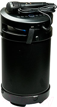 Портативная акустика Dialog AP-1030 - фото