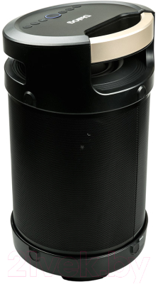 Портативная акустика Dialog AP-1030