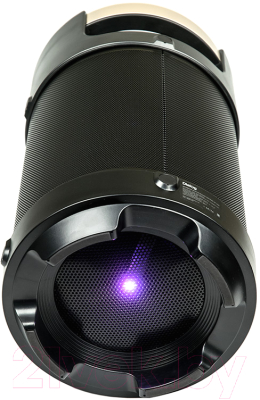 Портативная акустика Dialog AP-1030