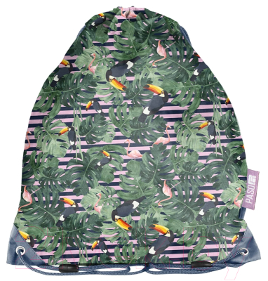 Мешок для обуви Paso PPMS19-712 - фото