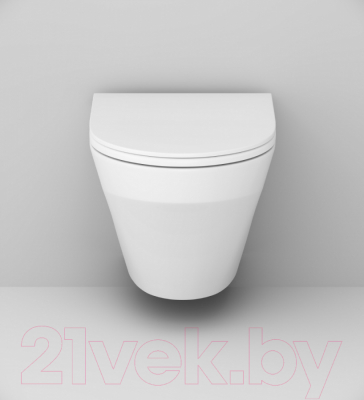 Унитаз подвесной с инсталляцией AM.PM IS49001.501700