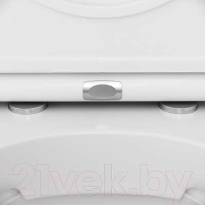 Унитаз подвесной с инсталляцией AM.PM IS49001.501700