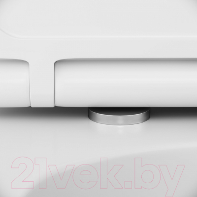 Унитаз подвесной с инсталляцией AM.PM IS49001.501700