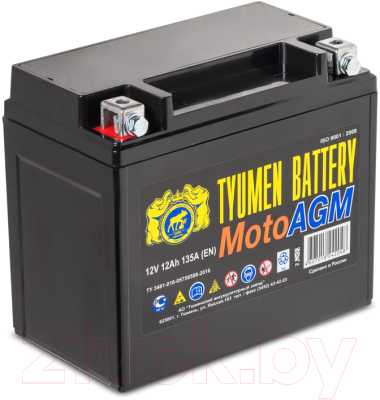 Мотоаккумулятор Tyumen Battery YTX12 - фото