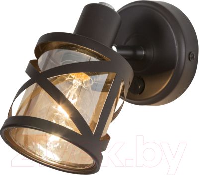 Спот Citilux Гессен CL536615 - фото