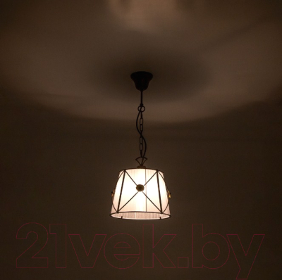 Потолочный светильник Citilux Дрезден CL409212