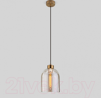 Потолочный светильник Евросвет 50119/1