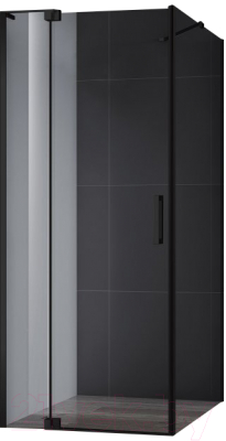 Душевой уголок Cezares SLIDER-AH-1-100-100/110-GRIGIO-NERO - фото