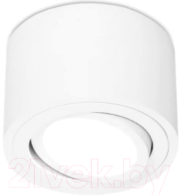 Точечный светильник Ambrella TN222 WH/S (белый/песок) - фото