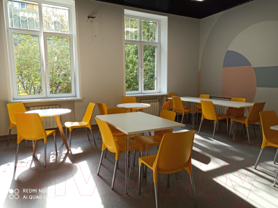 Стул Sheffilton SHT-S75-1 (желтый RAL1021/хром лак)