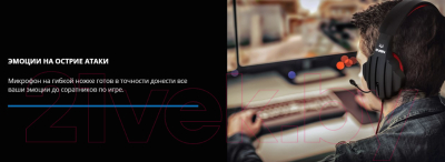 Наушники-гарнитура Sven AP-G300MV