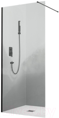 Душевая стенка RGW WA-010 B / 351001008-14 - фото