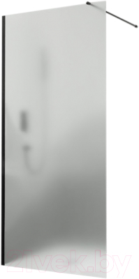 Душевая стенка RGW WA-010 B / 351001007-24 - фото