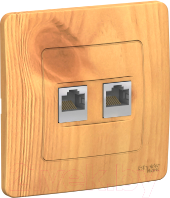 Розетка Schneider Electric Blanca BLNIS045455 - фото