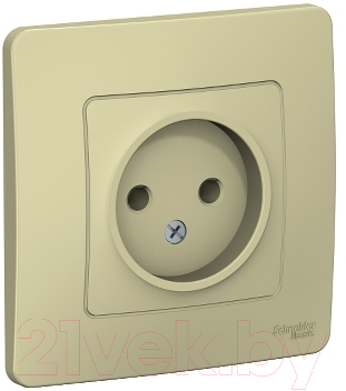 Розетка Schneider Electric Blanca BLNRS000017 - фото