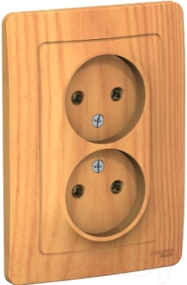 Розетка Schneider Electric Blanca BLNRS000025 - фото