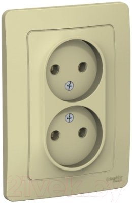 Розетка Schneider Electric Blanca BLNRS000027 - фото