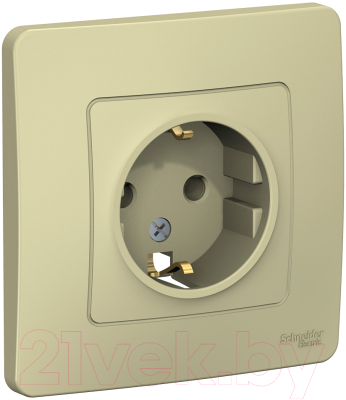 Розетка Schneider Electric Blanca BLNRS001017 - фото