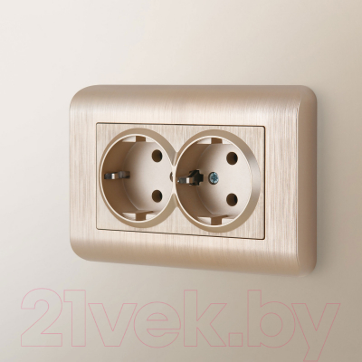 Розетка Werkel W1172010 / a051432