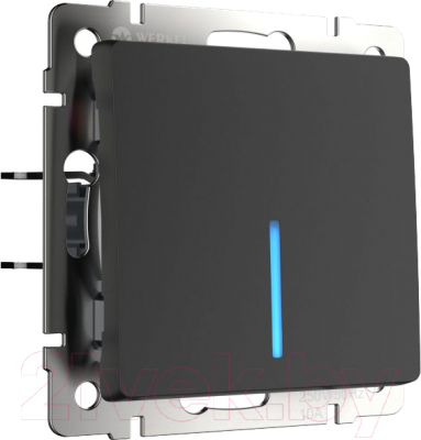 Выключатель Werkel W1112108 / a051609 - фото