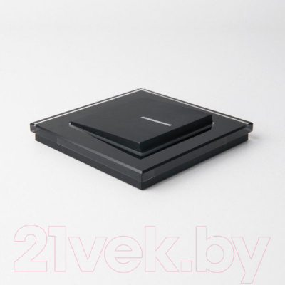 Выключатель Werkel W1112108 / a051609