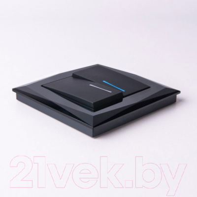 Выключатель Werkel W1120108 / a051619