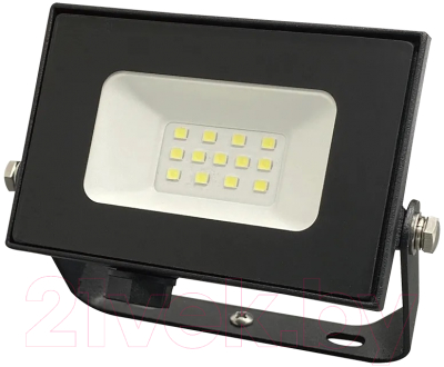 Прожектор Truenergy 10W 6500K 13010 - фото