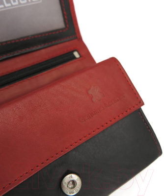 Портмоне Bellugio AD-24R-332