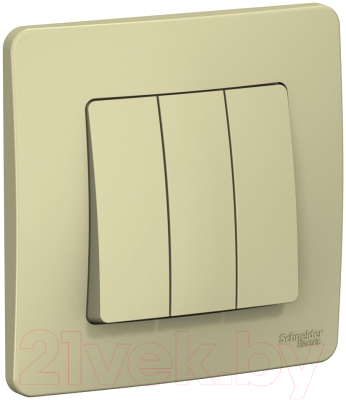 Выключатель Schneider Electric Blanca BLNVS100507 - фото