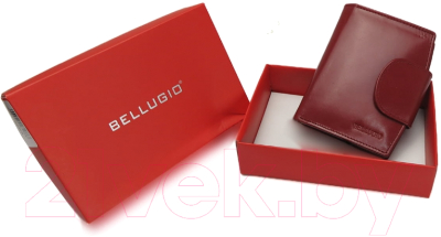 Портмоне Bellugio ZD-02-120