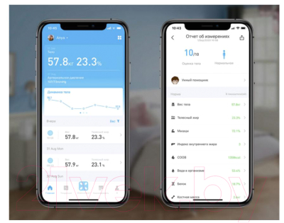 Напольные весы электронные Picooc Mini Pro V2