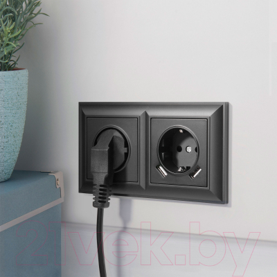 Рамка для выключателей и розеток Werkel W0022208 / a051029