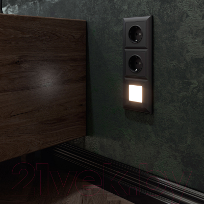 Рамка для выключателей и розеток Werkel W0032208 / a051026