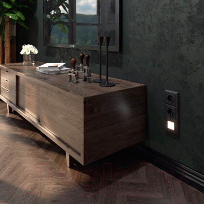 Рамка для выключателей и розеток Werkel W0032208 / a051026