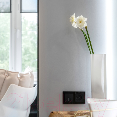 Розетка Werkel W1171108 / a051622