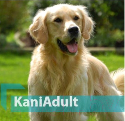 Сухой корм для собак Quicker Kani Adult Lamb