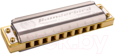 Губная гармошка Hohner Marine Band Thunderbird Low E / M201115X - фото