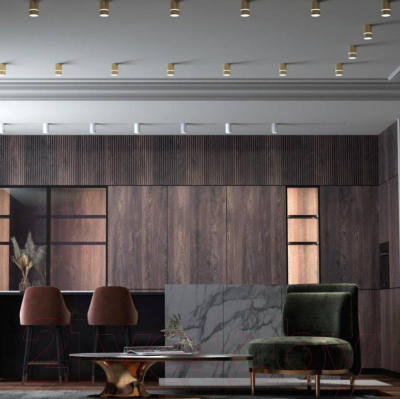 Точечный светильник Novotech Elina 370734