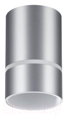 Точечный светильник Novotech Elina 370733 (серебристый) - фото