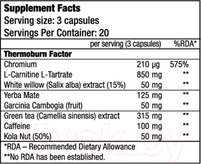 Жиросжигатель BioTechUSA Thermo Drine / I00003384