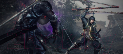 Игра для игровой консоли PlayStation 5 Nioh Collection