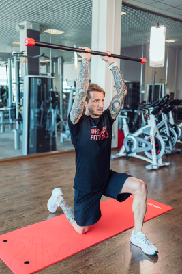 Бодибар Original FitTools FT-BDB-4