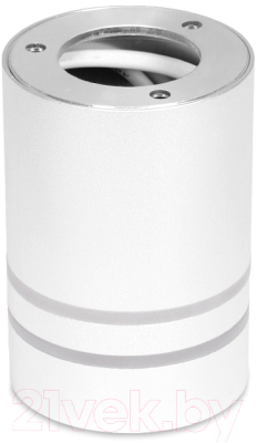 Точечный светильник Ambrella TN235 WH/S