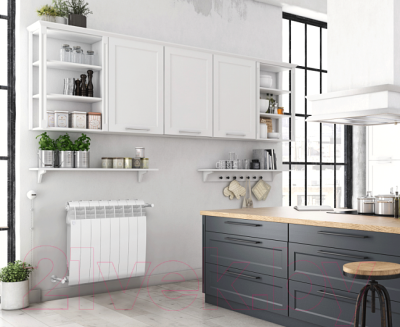 Радиатор биметаллический Royal Thermo BiLiner 500 Bianco Traffico (10 секций)