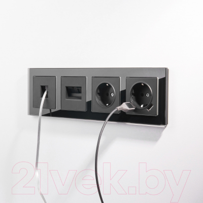 Розетка Werkel W1171508 / a051617