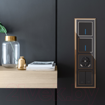 Розетка Werkel W1171508 / a051617