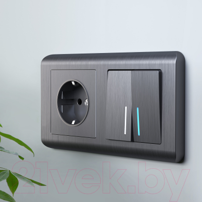 Выключатель Werkel W1120104 / a050747