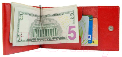 Зажим для денег Ezcase City One / C17.0