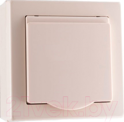 Розетка TIMEX Jowisz JWBE-GNT17-H - фото